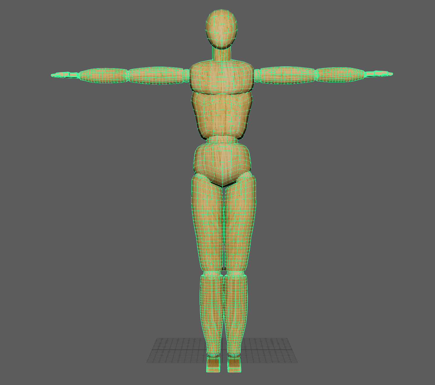 3D human figure front view